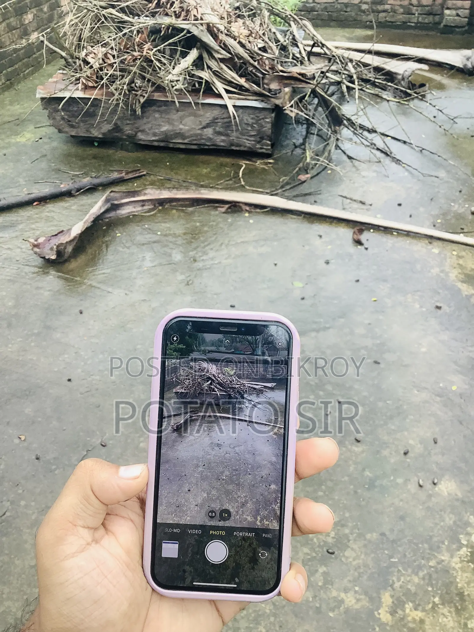 অ্যাপল আইফোন ১২ মিনি ৬৪ জিবি ব্লু
