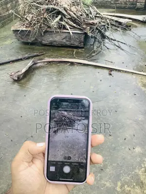 অ্যাপল আইফোন ১২ মিনি ৬৪ জিবি ব্লু