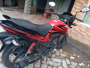 নতুন হিরো প্যাশন প্রো ২০২২ লাল