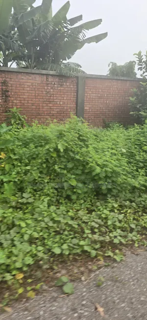 রাজউক পূর্বাচল সেক্টর -১৫ আদিবাসী ৭৫ ফুট প্রশস্ত রাস্তা দক্ষিণমুখী প্লট