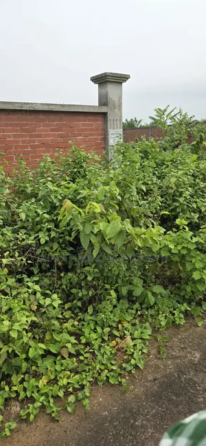 Rajuk Purbachal East Facing 5 Katha Plot