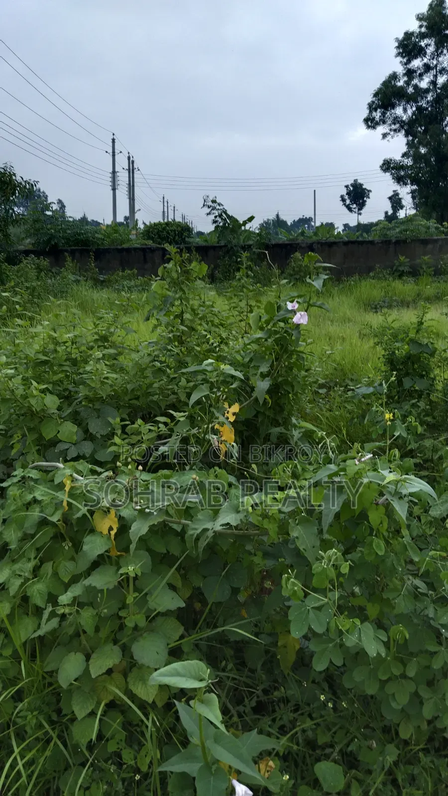 5 Katha Corner Plot Sector #10, Purbachal