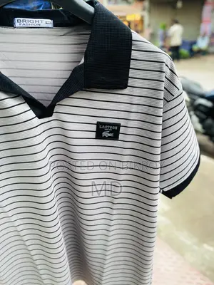 Premium Aesthetic Polo T-Shirt Collection