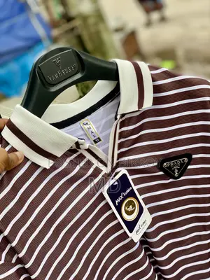 Premium Aesthetic Polo T-Shirt Collection