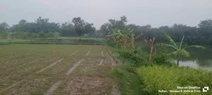 ১দাগে ১৬বিঘা জমি বিক্রি হবে