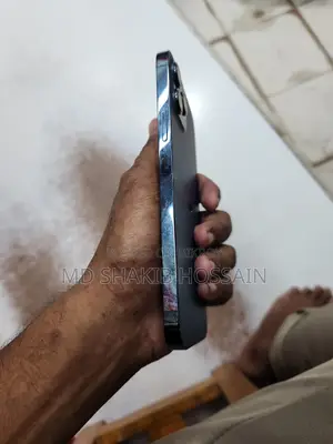 অ্যাপল আইফোন ১২ প্রো ম্যাক্স ২৫৬ জিবি ব্লু