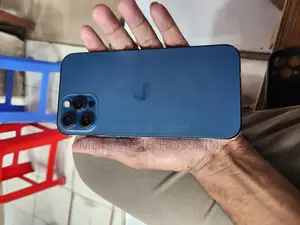 অ্যাপল আইফোন ১২ প্রো ম্যাক্স ২৫৬ জিবি ব্লু