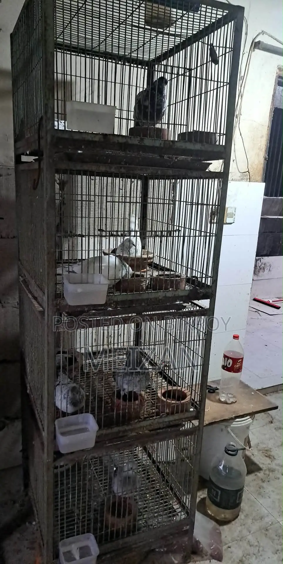 খাঁচা ২ পিস
