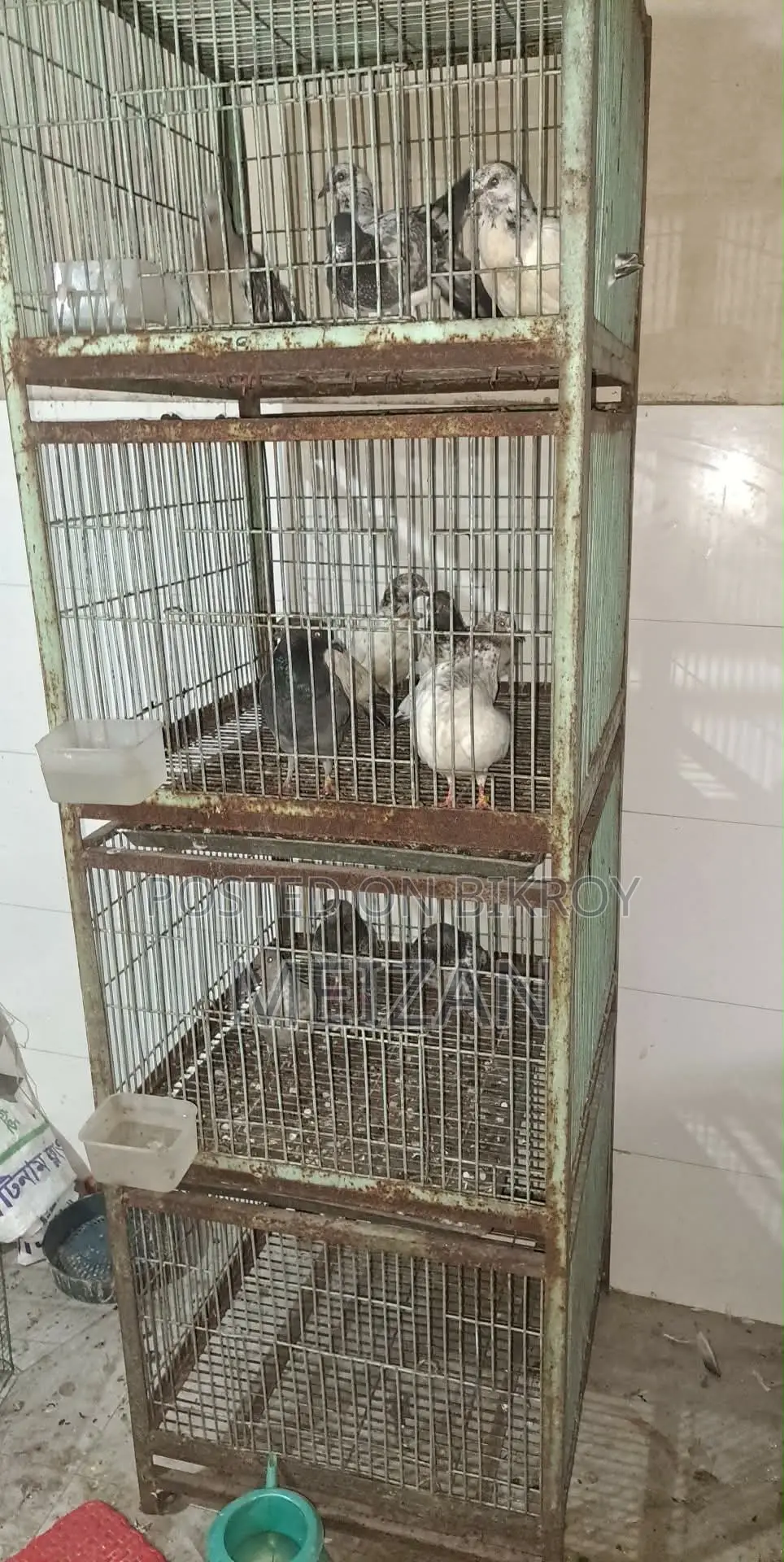 খাঁচা ২ পিস