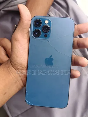 অ্যাপল আইফোন ১২ প্রো ম্যাক্স ২৫৬ জিবি নীল