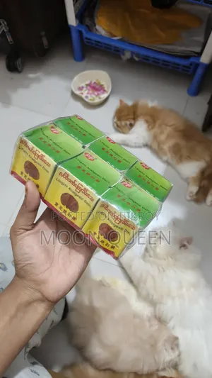 লিংঝি এনালজেসিক বাম