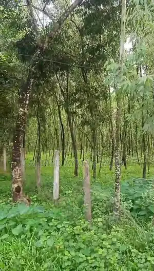 ২.৫ কানি জায়গা (43560 Square Feet Land in Harbang, Chakaria)