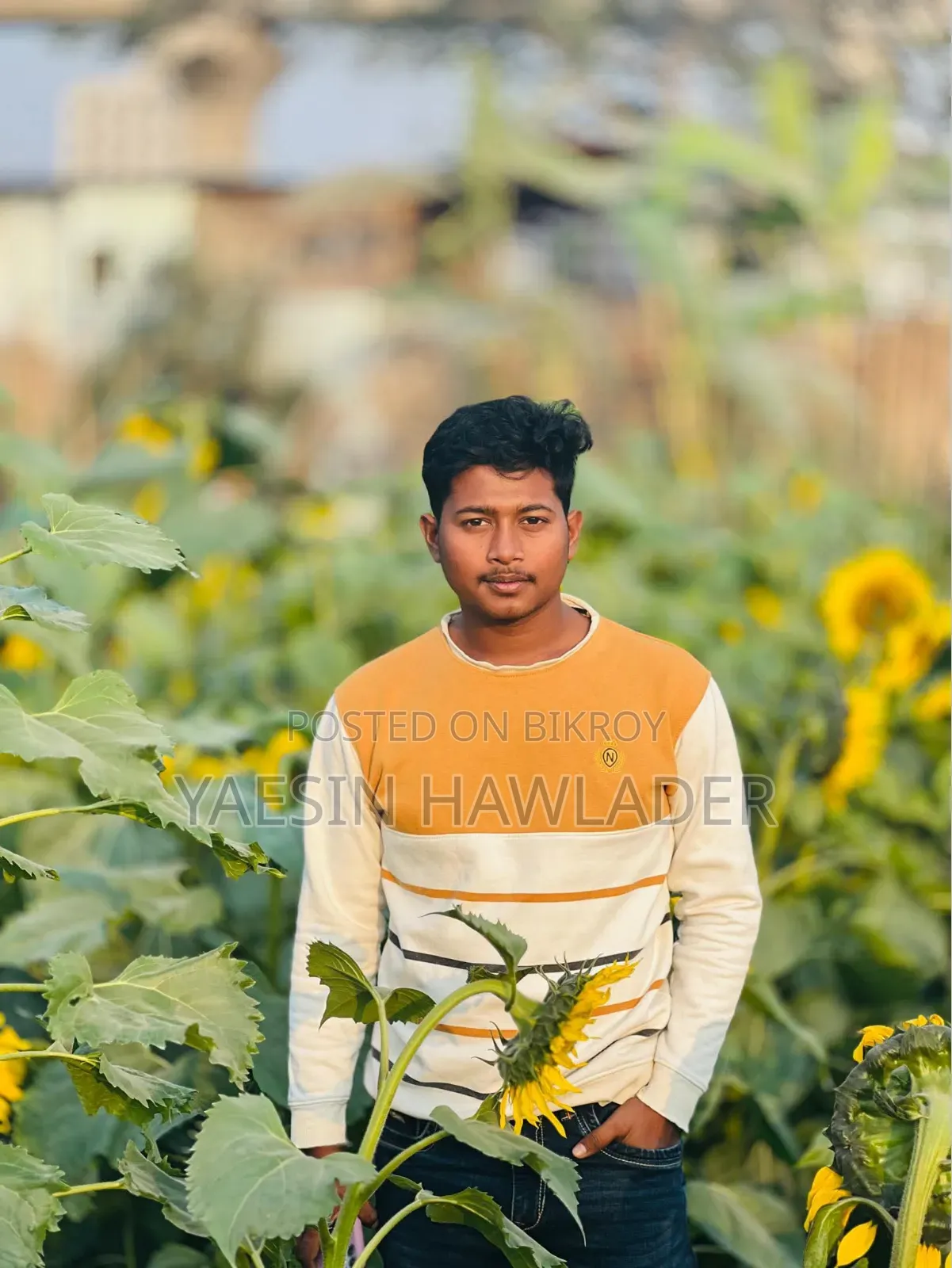আমার একটি কাজের দরকার