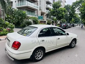 নিসান ব্লুবার্ড সিলফি অটোমেটিক ২০০৪ পার্ল