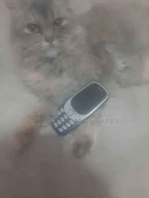 নোকিয়া ৩৩১০ ব্ল্যাক