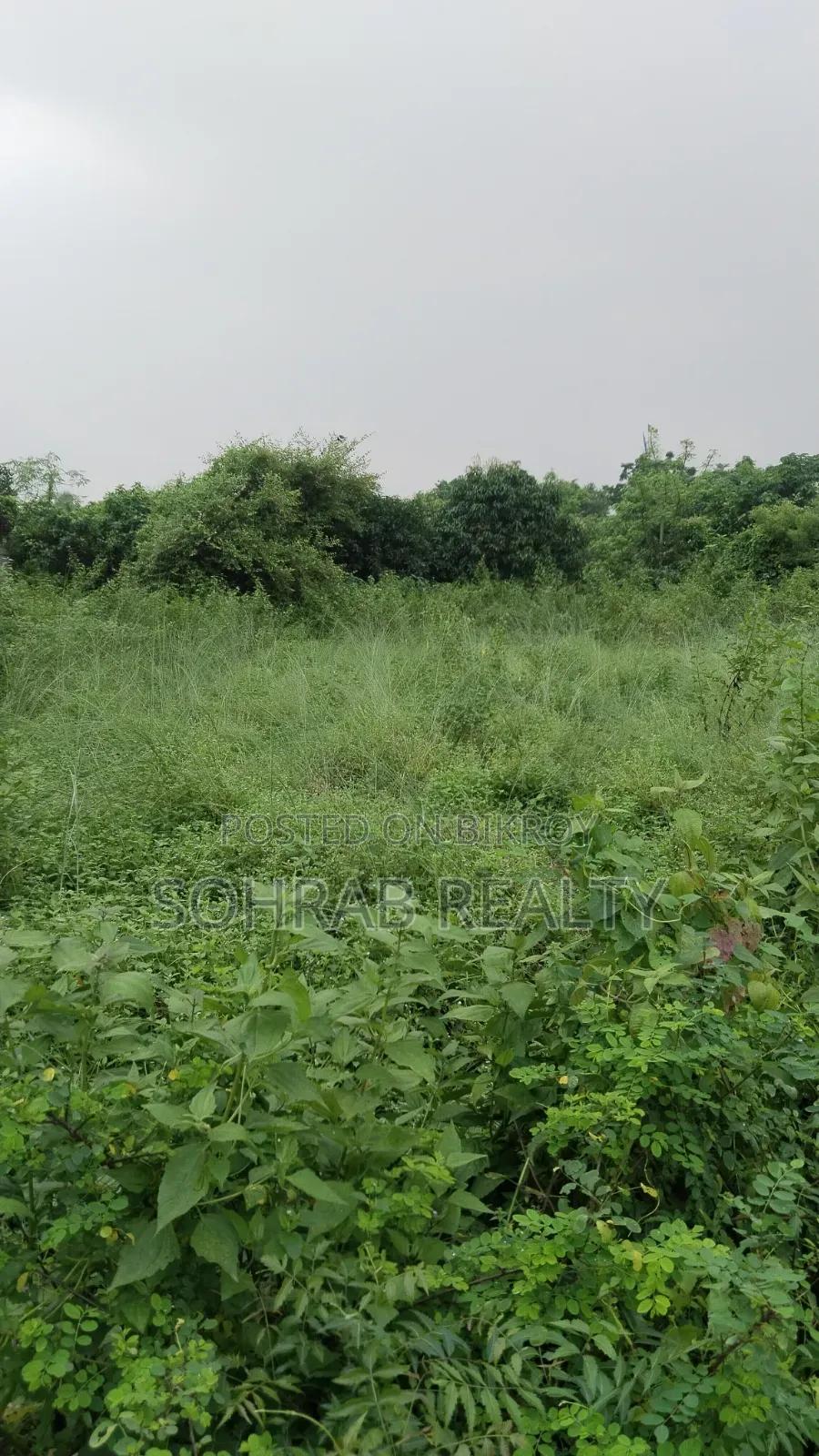 ১০ কাঠা সেক্টর #১০, পূর্বাচল