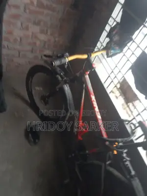 Phoenix সাইজ ২৬