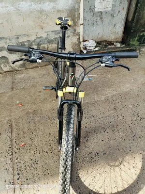 ভেলোচে সাইকেল