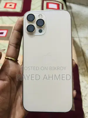 অ্যাপল আইফোন ১২ প্রো ম্যাক্স ২৫৬ জিবি রোজ গোল্ড