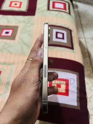 অ্যাপল আইফোন ১২ প্রো ম্যাক্স ২৫৬ জিবি রোজ গোল্ড