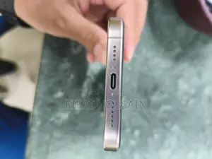 Apple iPhone 15 Pro Max 256 GB Silver