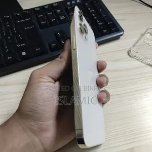 অ্যাপল আইফোন ১২ প্রো ম্যাক্স ১২৮ জিবি গোল্ড