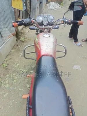 Bajaj Platina 100 2020 Red