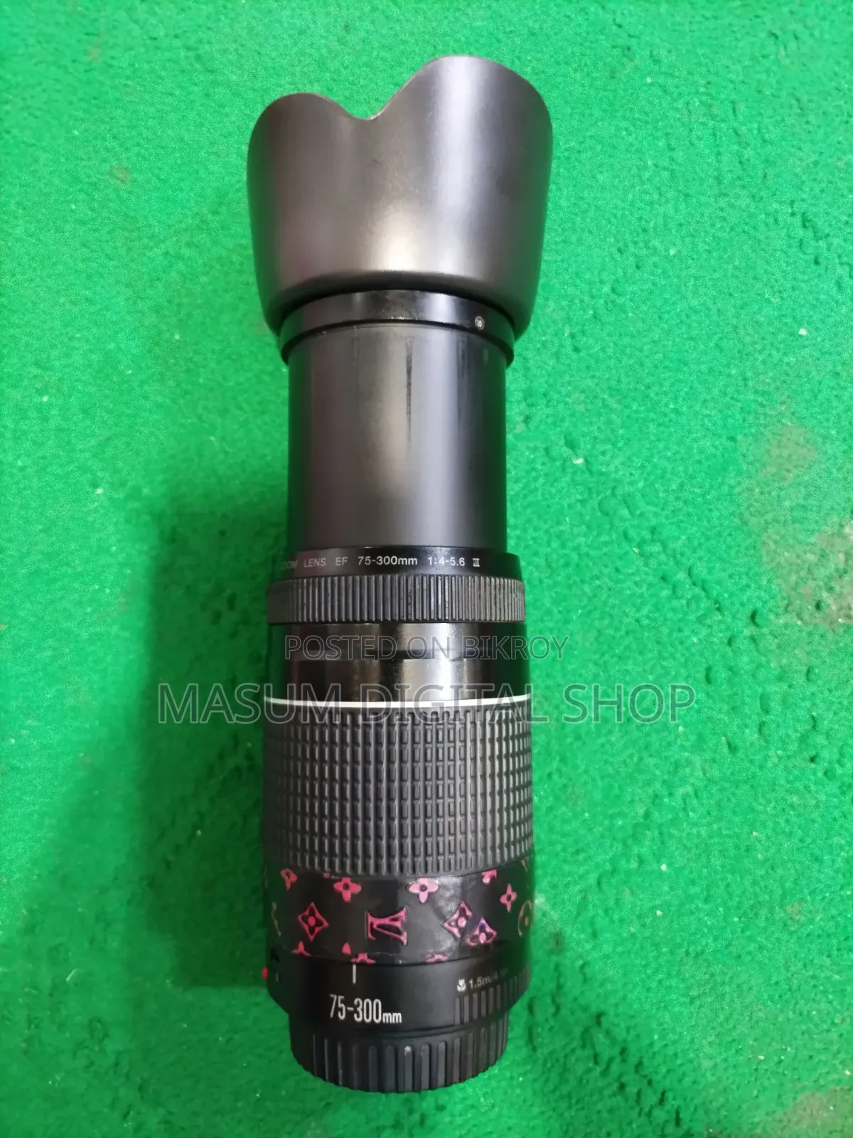 Canon 75 300 Lens