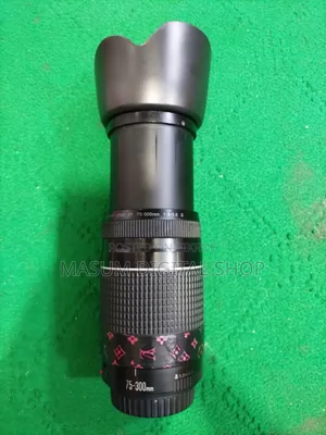 Canon 75 300 Lens