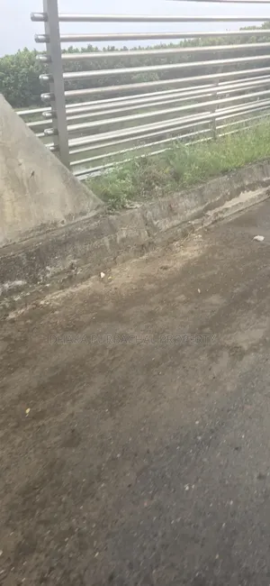 Purbachal Sector -23 Road-301 Adibashi Category Plot
