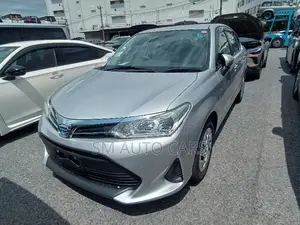 Toyota Axio 2021 Silver