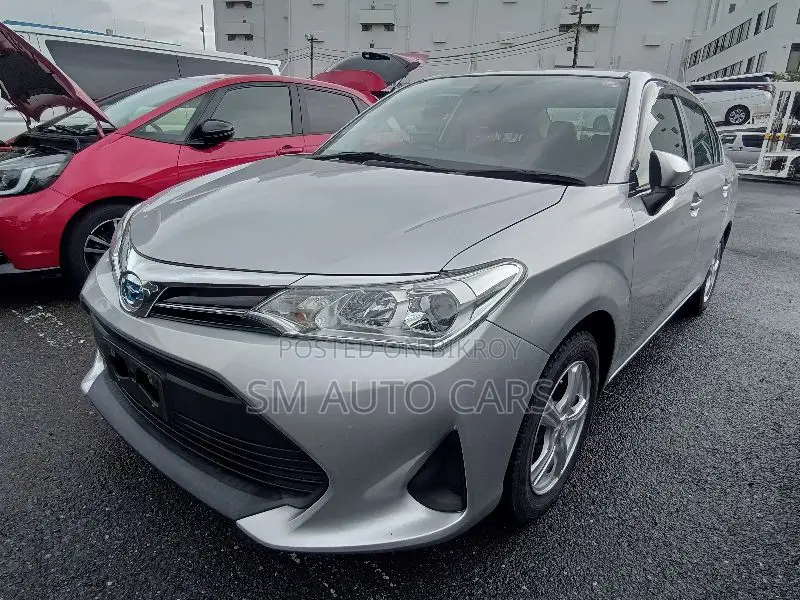 Toyota Axio 2021 Silver
