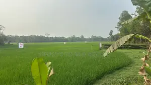 জমি বিক্রয়