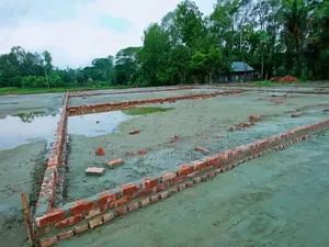 3 Katha Plot