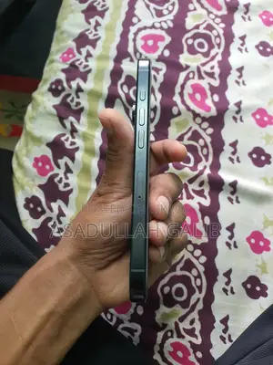 Apple iPhone 16 Pro 256 GB Black