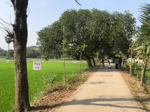 Land for Sale (Purbachal)