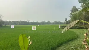 Land for Sale (Purbachal)