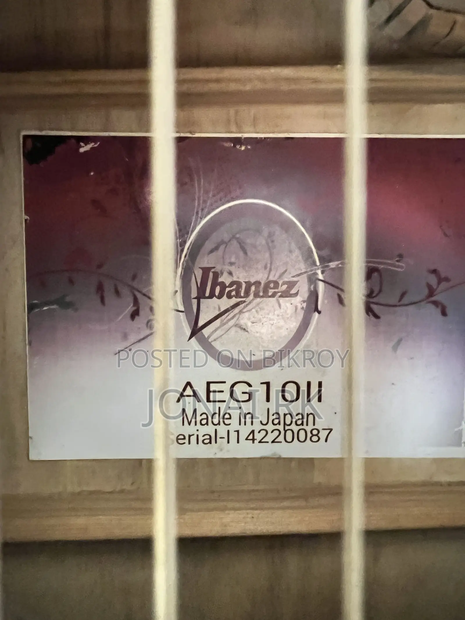 Ibanez Guitar Japanese Variant Acoustic Aeg10e