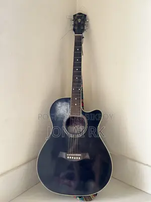 Ibanez Guitar Japanese Variant Acoustic Aeg10e
