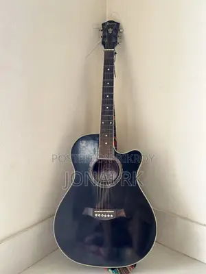 Ibanez Guitar Japanese Variant Acoustic Aeg10e