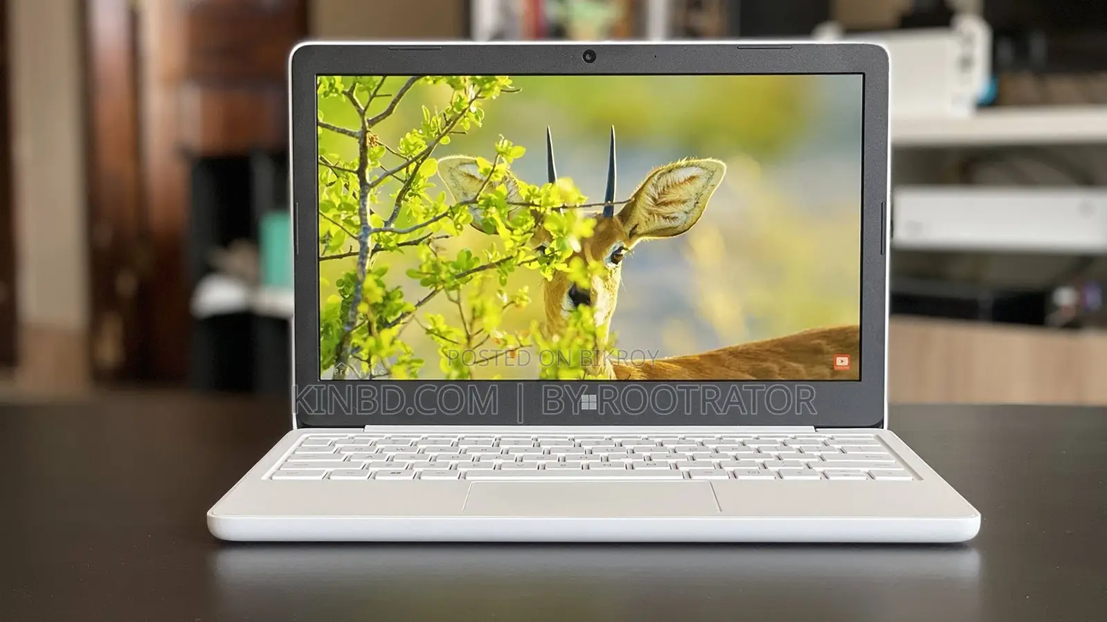 Laptop Microsoft Surface Laptop SE 8GB Intel Celeron SSD 128GB