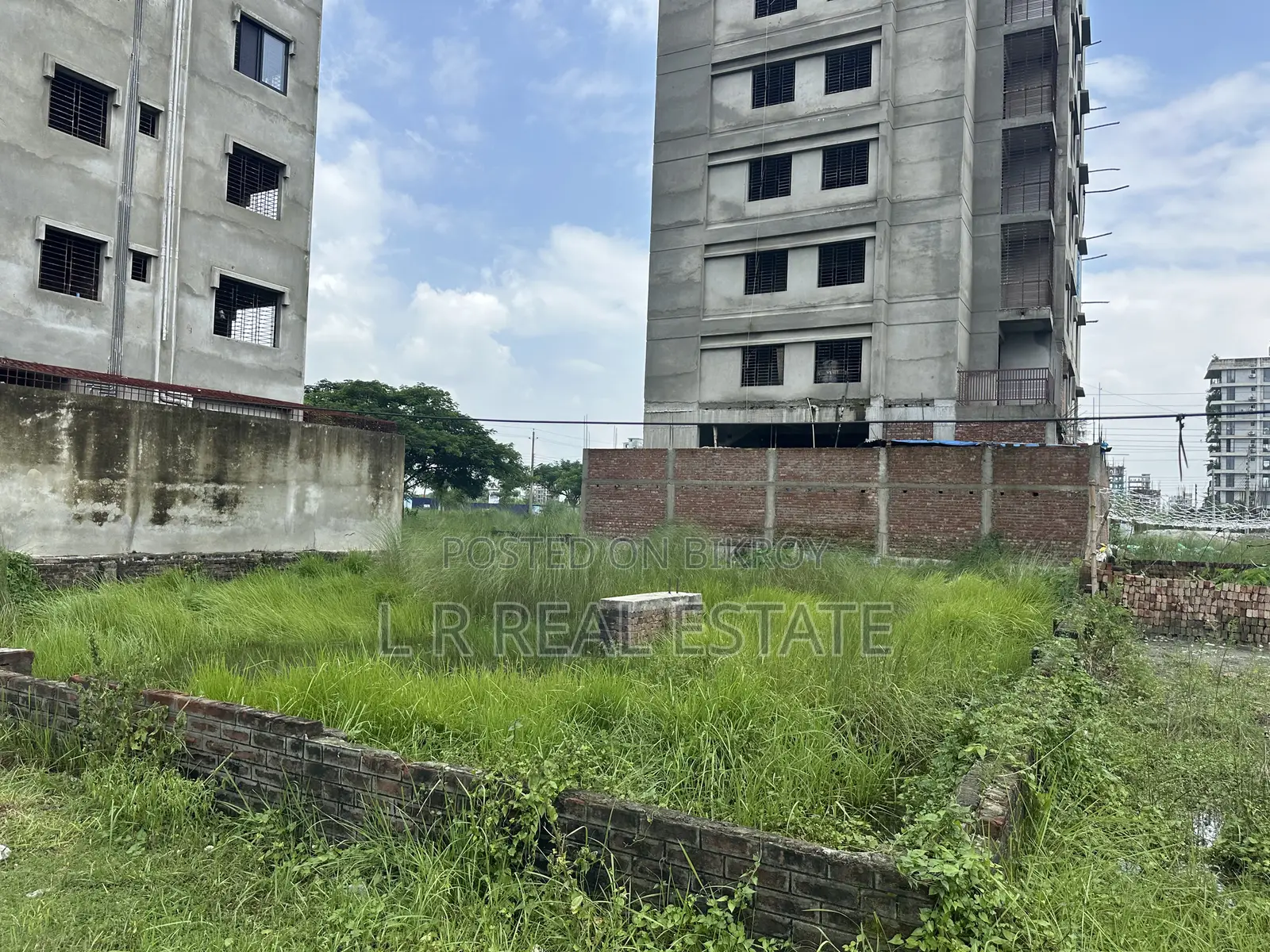 এম-ব্লক, ৫-কাঠা, রেডি প্লট জরুরি বিক্রয়, বসুন্ধরা আর/এ