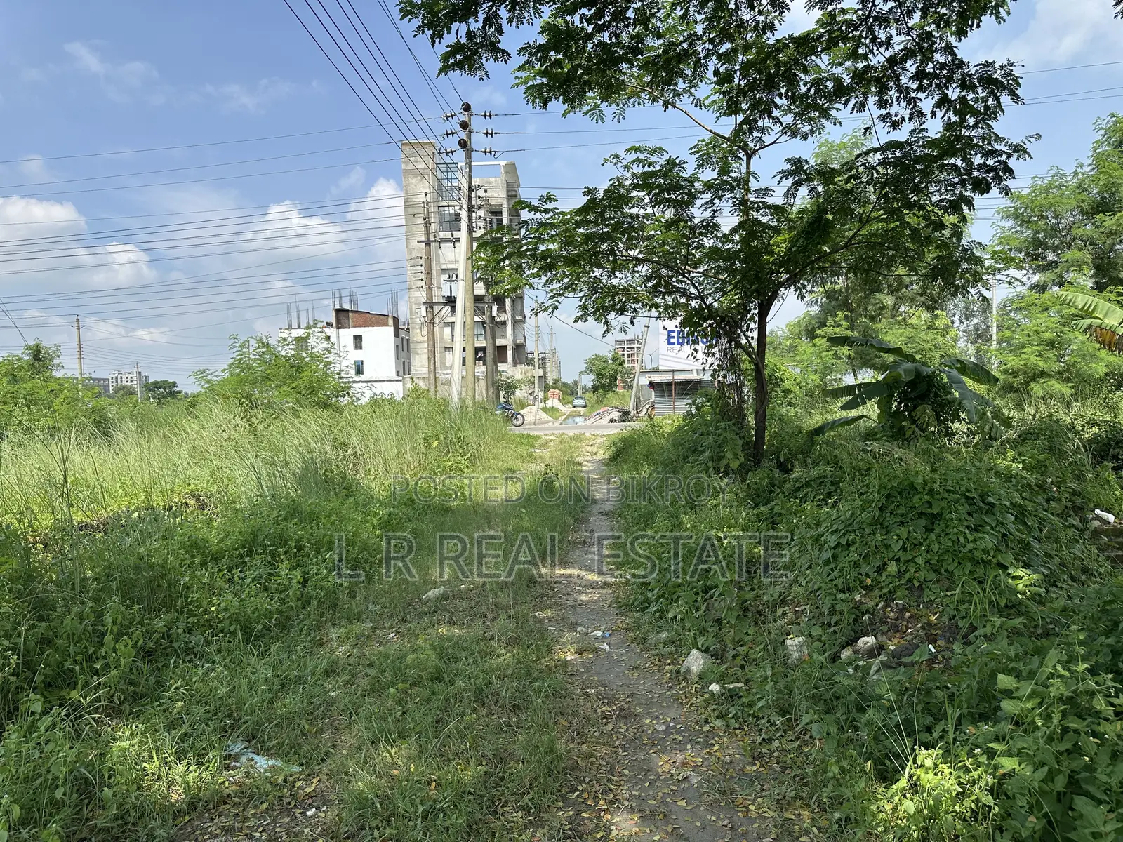N-Block, 3-Katha, South-Face, 3700-Serial, Urgent Sell, Bashundhara R/A