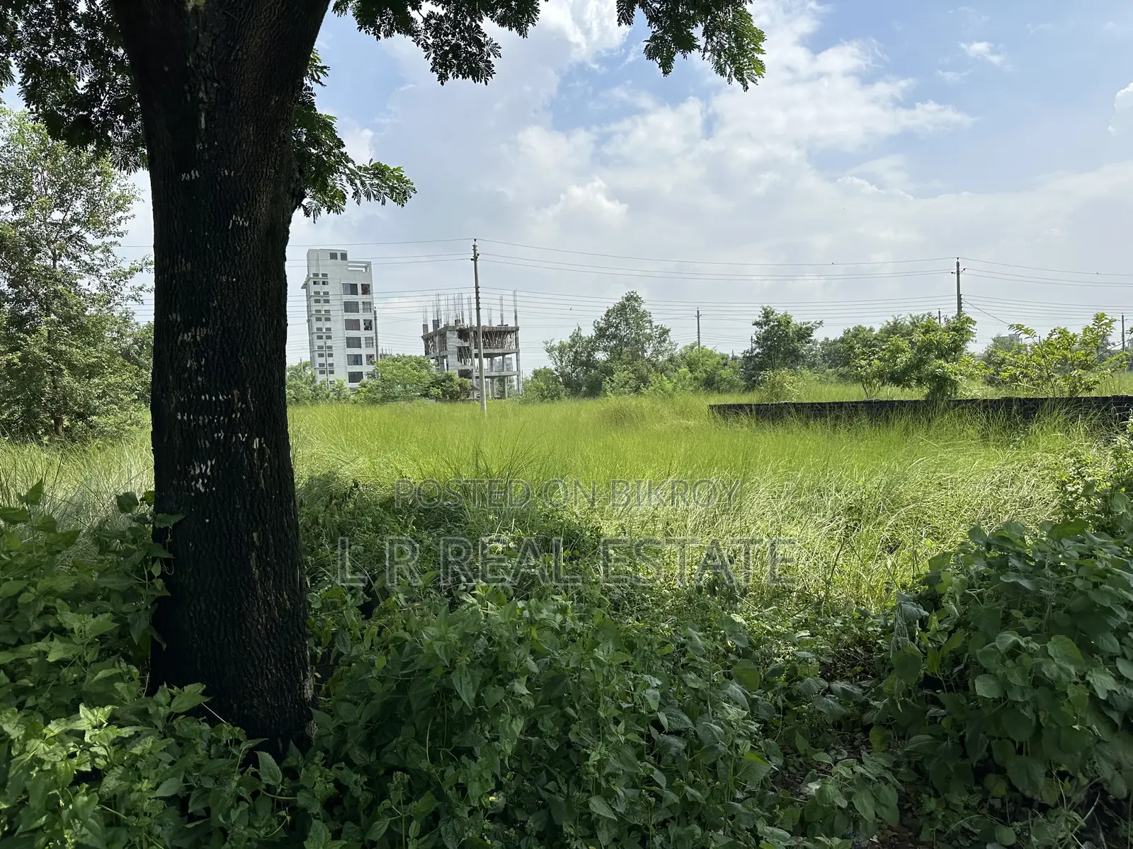N-Block, 3-Katha, South-Face, 3700-Serial, Urgent Sell, Bashundhara R/A
