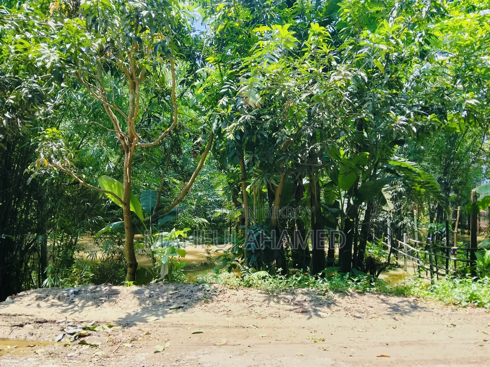 ইমারজেন্সি বিক্রয়