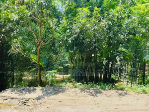 ইমারজেন্সি বিক্রয়