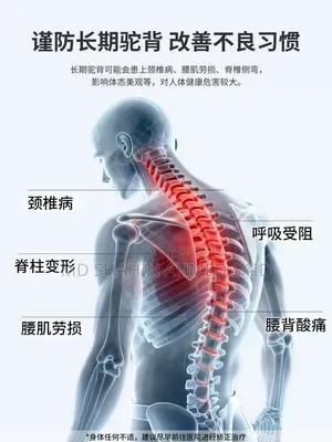 Back Spine Correction Belt