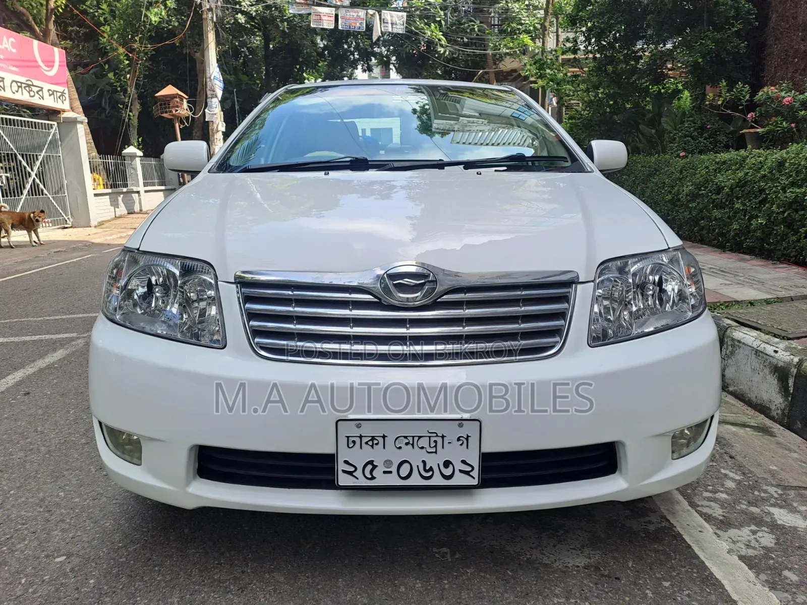 Toyota Corolla 2005 White