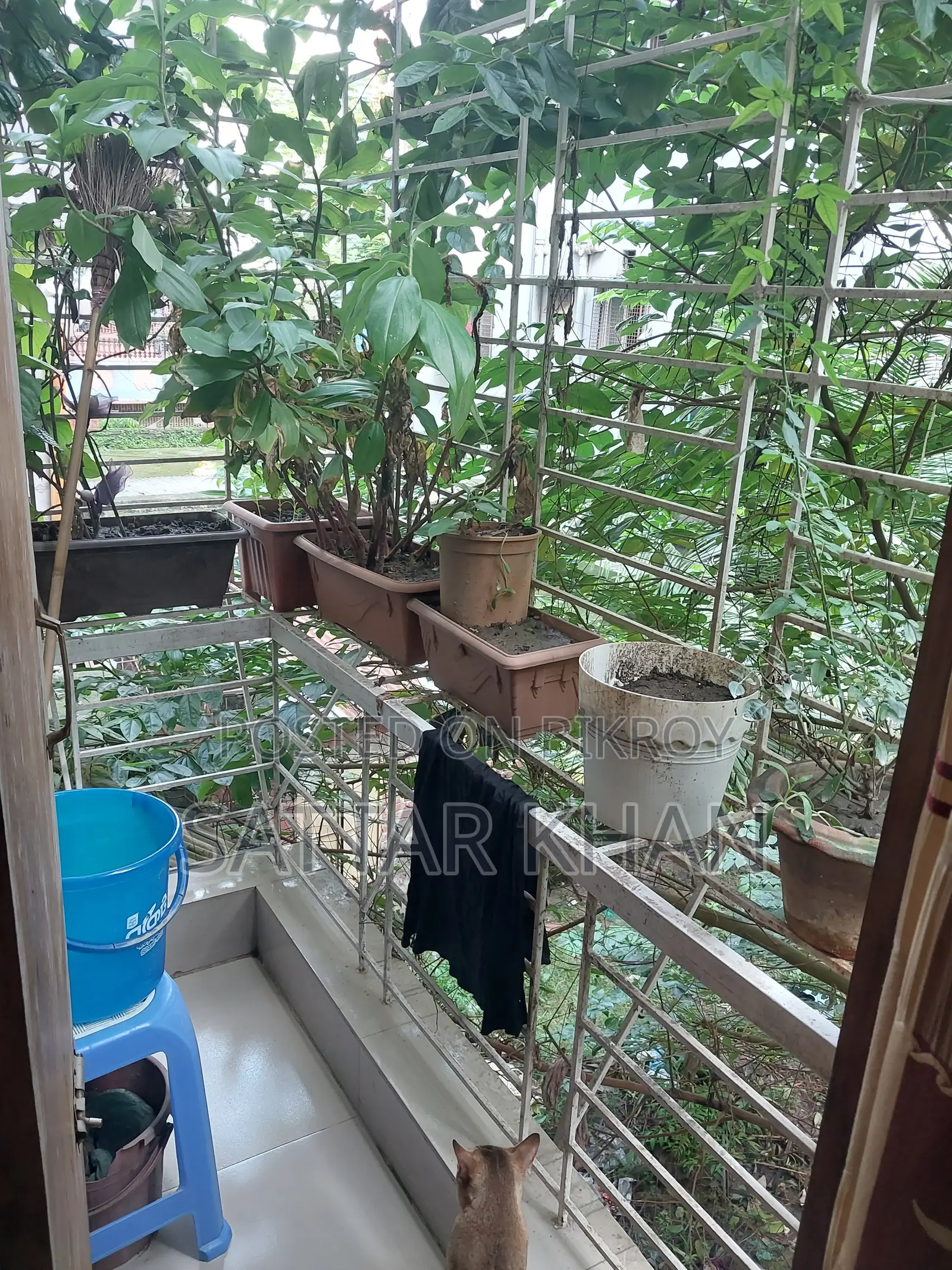 3-Bedroom Apartment in Khilgaon for Sale
