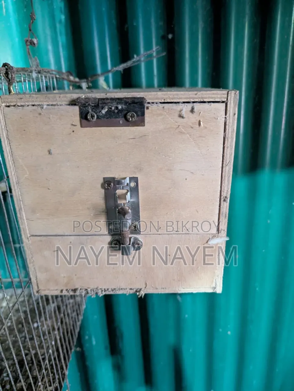 ব্রিডিং বক্স, লাভ বার্ড ককাটেল